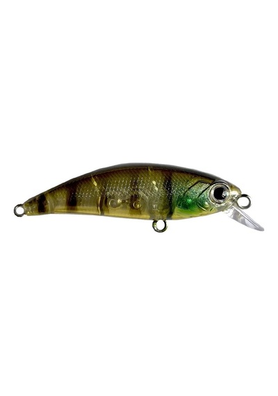 Hanfish Zıpır 50 Kg Spk-48 Goby