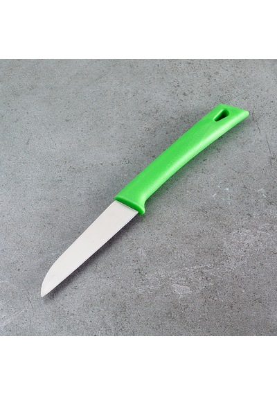 Aryıldız Düz Ağız Meyve Bıçak Yeşil 8 Cm