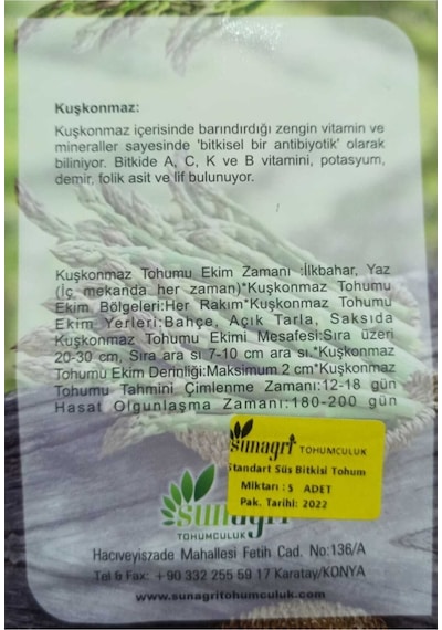 Kuşkonmaz Çiçeği Tohumu 5adet