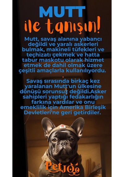 Petjoo 10.Mutt Turuncu-Mavi Qr'lı Köpek Künyesi