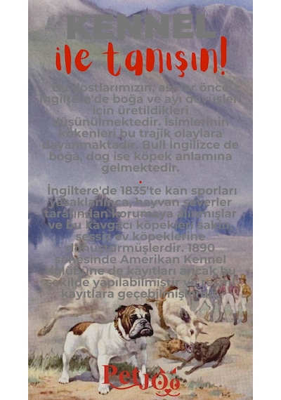 Petjoo 16.Kennel Kırmızı-Gri Qr'lı Köpek Künyesi