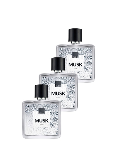 Musk Rain Erkek Parfüm Edt 75 Ml. Üçlü Paket Odunsu
