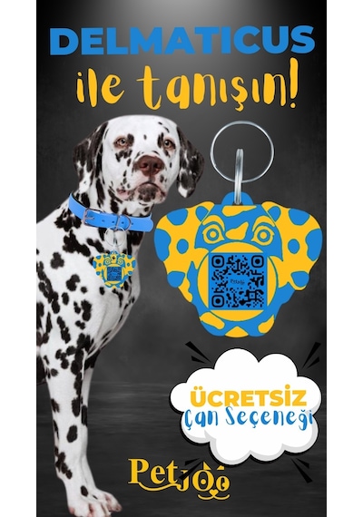 Petjoo 28.Delmaticus Sarı-Mavi Qr'lı Köpek Künyesi
