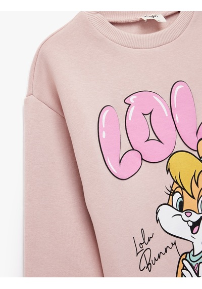 Koton Lisanslı Lola Bunny Baskılı Uzun Kollu Bisiklet Yaka Sweatshirt Lila 6wkg10545ak Lila Koton Lisanslı Lola Bunny Baskılı Uzun Kollu Bisiklet Yaka Sweatshirt Lila 6wkg10545ak Lila
