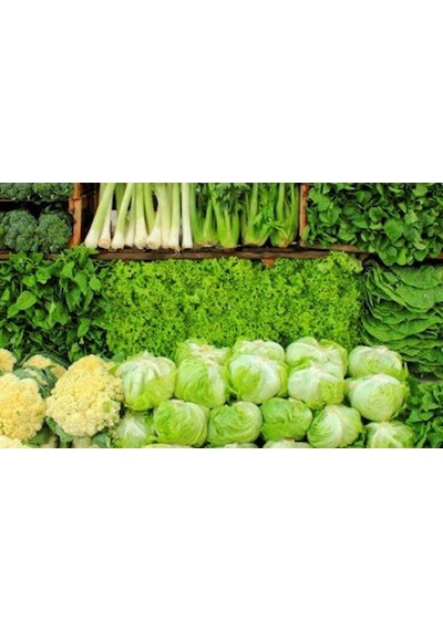 Yeşillik İçin Sıvı Organik Gübre (Marul - Maydanoz - Tere) 5 KG
