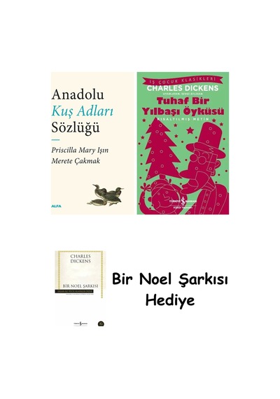 Anadolu Kuş Adları Sözlüğü + Tuhaf Bir Yılbaşı Öyküsü + Bir Noel Şarkısı
