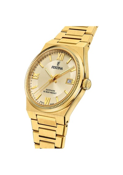 Festına Swıss F20038/2 Erkek Kol Saati Altın