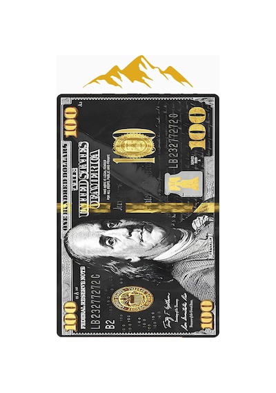 Modern Dolar Desen Dijital Baskı Kaymaz Taban Halı H0166 Standart