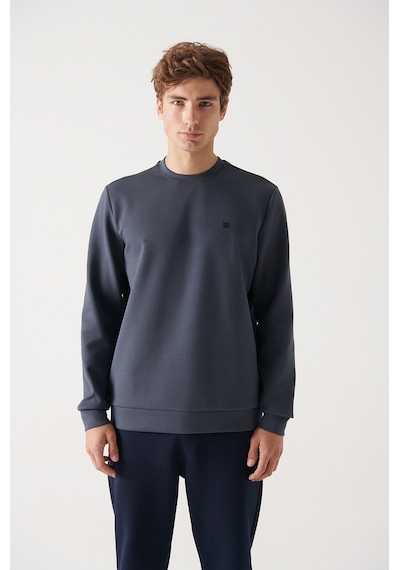 Avva Erkek Antrasit Sweatshirt Bisiklet Yaka Esnek Yumuşak Doku İnterlok Kumaş Standart Fit Normal Kesim B001100 Antrasit