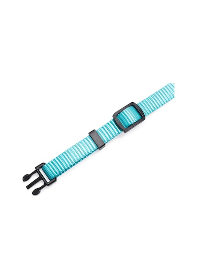 Hnrlıshp Beeztees Yavru Köpek Boyun Tasması, Çeşitli Renklerde, 17-25cm, 10mm Çok Renkli