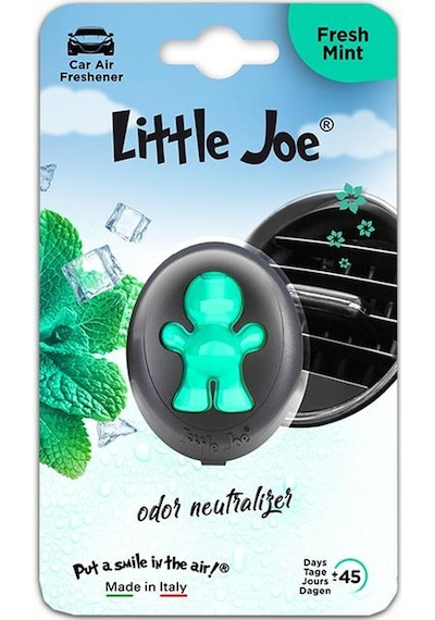 Little Joe Membrane Araba Kokusu Fresh Mint Taze Nane