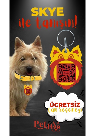 Petjoo 6.Skye Kırmızı-Sarı Qr'lı Köpek Künyesi