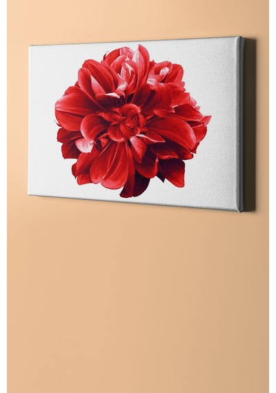Webstyle Sayılarla Boyama Seti Kasnaklı Yıldız Çiçeği 50 X 65 Cm