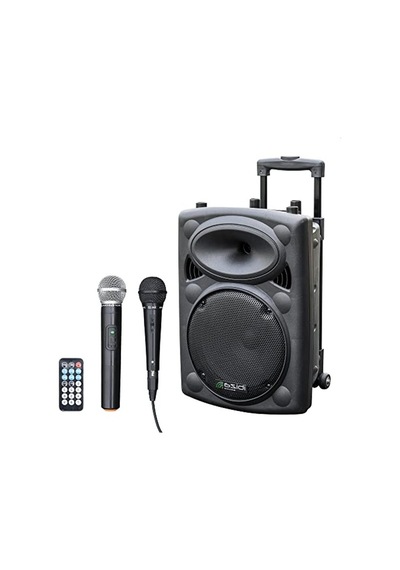 Taşınabilir Hoparlör, 10 Inç, 500w Güç, Bluetooth Ve Usb İle