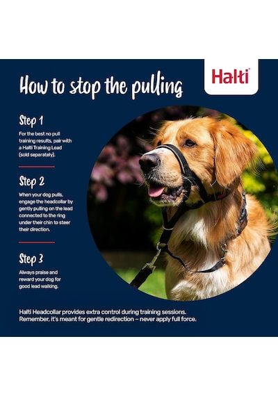 Şirket Hayvanlarının Halti Köpek Halter, Boyut 2 35-48 Cm , Siyah Genel
