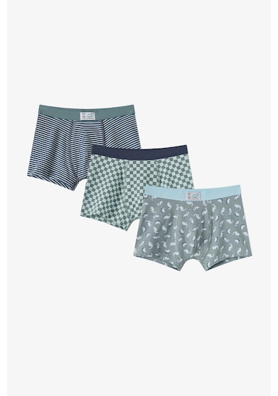 Penti Erkek Çocuk Mavi Dino Dash Pamuklu 3lü Boxer