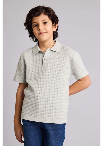 Defacto Regular Fıt Polo Yaka Pamuklu Kazak Erkek Çocuk G6604a826spgn1195 Yeşil-gn1195