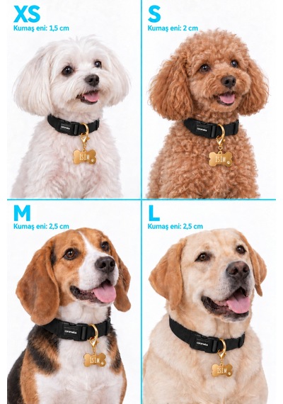 Caramelos İsimli Köpek Tasması, Ayarlanabilir Yavru, Mini, Orta Ve Büyük Irk Köpek Tasması, Siyah