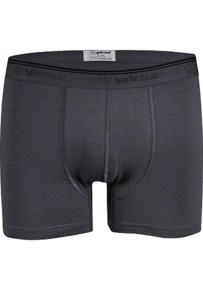 Yıldız 369 Füme Formen Likralı Boxer