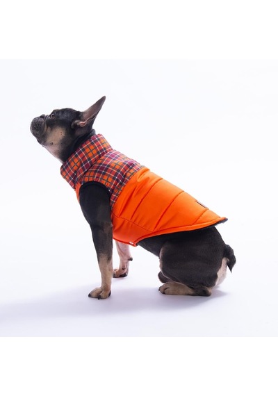 Turuncu Elgin Paws Ekose Desen Yelek Köpek Yeleği Köpek Kıyafeti Köpek Yağmurluk