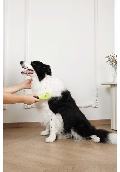 60107199 M-pets Clıck And Groom Kedi Ve Köpek Masaj Uclu Fırça
