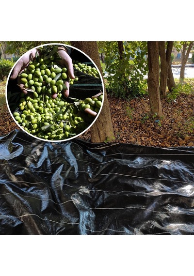 5x3 Metre Zeytin Sergeni Zeytin Toplama Örtüsü Fındık Fıstık Dut Toplama Filesi Hasat Taban Örtüsü