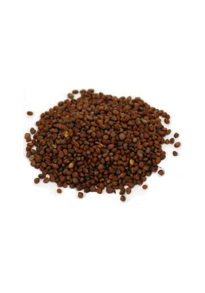 Sanita Turp Tohumu Kırmızı 250 GR