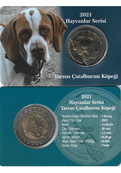 2021 Hayvanlar Serisi Tarsus Çatalburun Köpeği 1 Kuruş Bimetal Özel Kitinde Çil