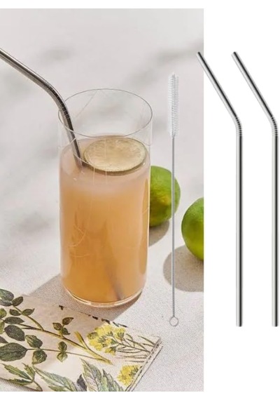 Ayrex 2 Li Paslanmaz Çelik Pipet + Temizleme Fırçası