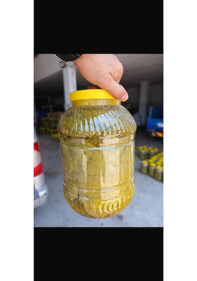 Unify Brand Doğal El Yapımı Salamura Asma Yaprağı 2.5 Kg Net - Geleneksel Ve Katkısız