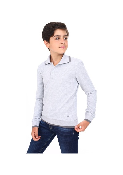 Toontoy Kids Toontoy Erkek Çocuk Regular Fit Polo Yaka Baskılı Sweatshirt - 2 İplik Gri