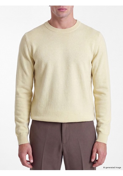 Lcw Vision Sarı Regular Fit Erkek Triko Kazak