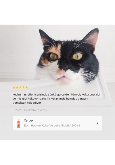 Evcil Hayvan Koku Ve Leke Giderici Enzimatik Sprey 500 Ml