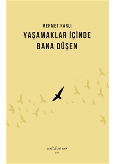 Yaşamaklar İçinde Bana Düşen / Mehmet Narlı