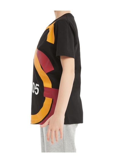 Galatasaray Büyük Logolu Çocuk T-shirt Aslan Ahşap Kutulu 001