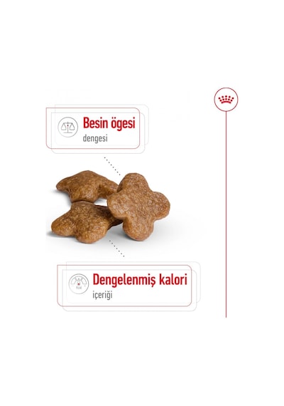 Royal Canin Mini Adult +8 Küçük Irk Yaşlı Köpek Maması 2 KG