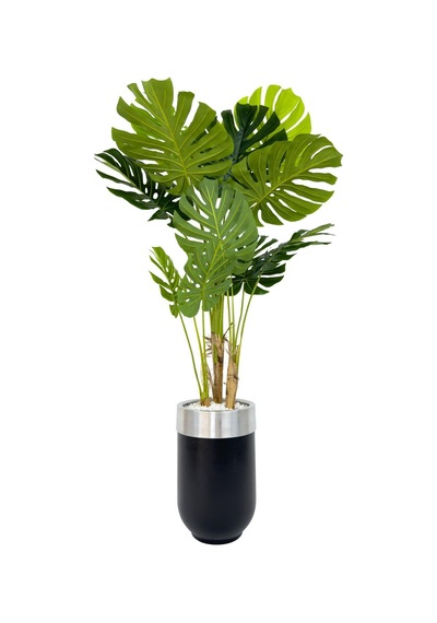 Yapay Monstera Ağacı Deve Tabani 170 Cm Si Yah Gümüş Darbuka Saksıda Siyah Gumus