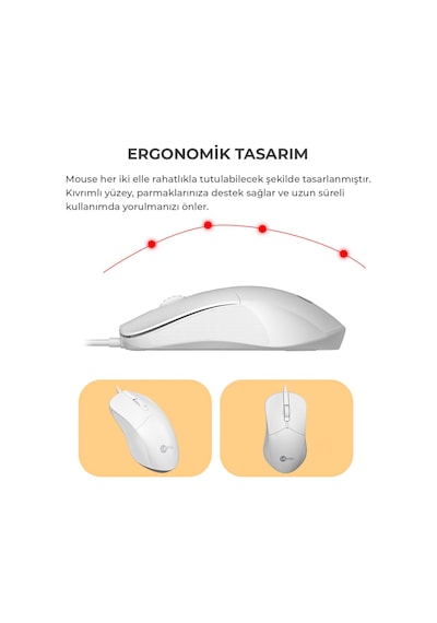 Lecoo CM101 USB Kablolu Türkçe Q Klavye & Mouse Set