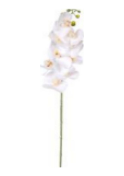 Yapay Islak Dokulu Sütleğen Çiçek Su Yeşili 77 Cm. Çok Renkli