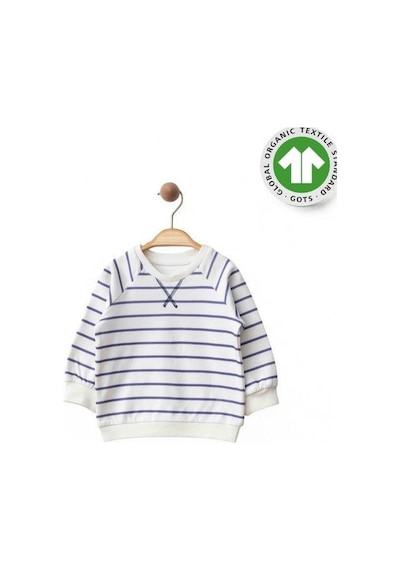Zekids Erkek Bebek Çizgili Organik Eşofman Takım-15484 renkli