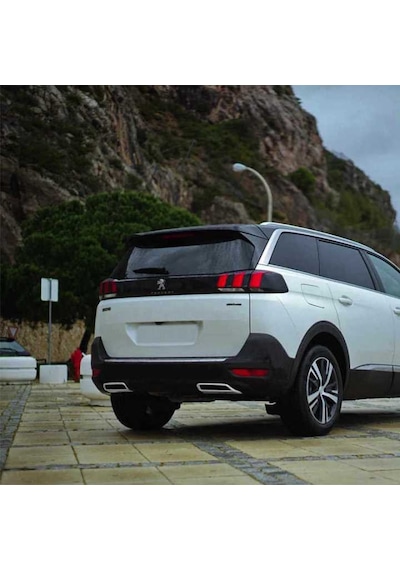 Peugeot  3008 2016 Egzoz  Nikelaji