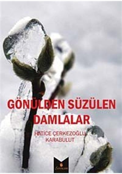 Gözülden Süzülen Damlalar / Hatice Karabulut Çerkezoğlu