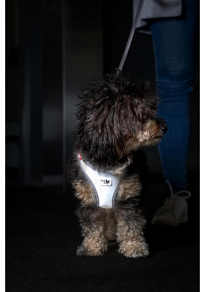 Glow Curli Clasp Vest Harness Reflective Gray S Genel