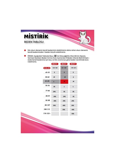 Mistirik Flerna Model Yüksek Sıkılaştırıcı Ve Toparlayıcı String Külot Korse Siyah Renk02