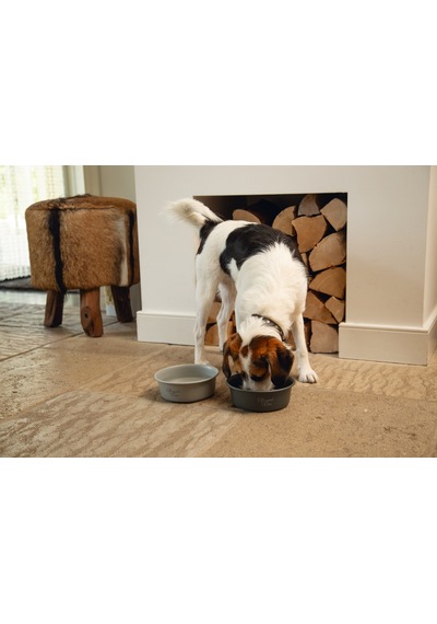 Beeztees Dbl Köpek Mama Su Kabı, Mat Gri Paslanmaz Çelik, 16cm, 940ml