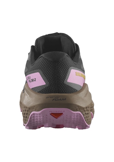 Salomon Ultra Flow 2 Gtx Kadın Ayakkabısı L47884400 Çok Renkli