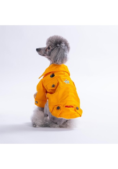 Sarı Cancun - Cancún Ceket Gabardin Çıtçıtlı Kedi Köpek Ceketi Kedi Köpek Kıyafeti Kedi Köpek Elbisesi