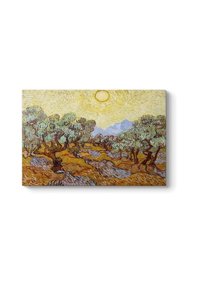 Vincent Van Gogh - Olive Trees Tablosu 125 X 80
