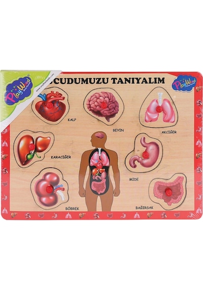Ony-287 288 Ahşap Tutmalı Vücumuzu Tanıyalım -eco Lounge