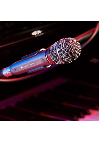 Audio-technica Ae6100 Hiperkardioid Dinamik Vokal Mikrofonu, Gri